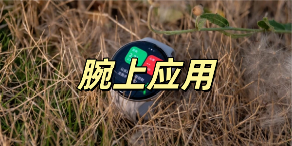 ����Ӧ��