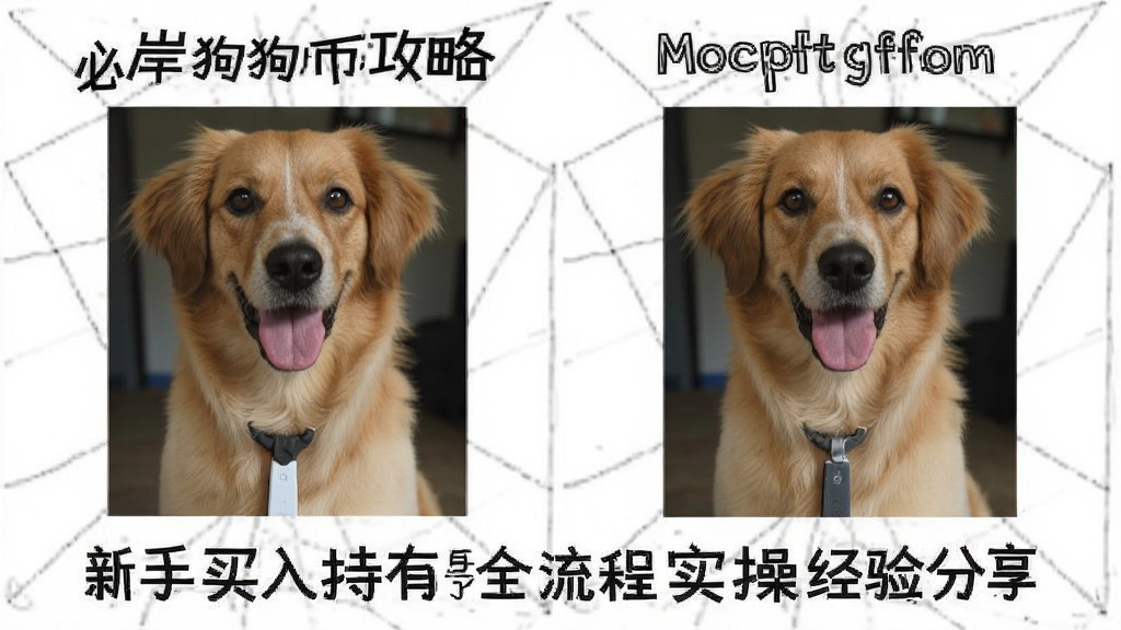 必岸狗狗币攻略 新手买入持有全流程实操经验分享配图
