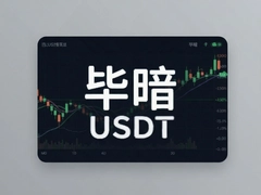 �ϰ�USDTʵʱ�������Ʒ���