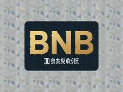 BNB���ڽ���ƽ̨�����Ƽ���ʹ��ָ��