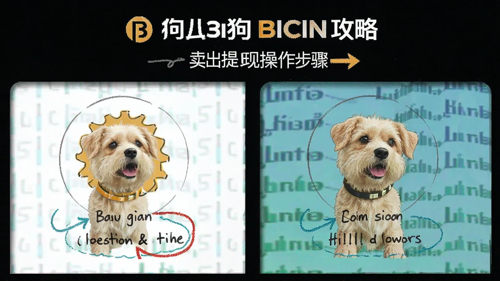 毕安 狗狗币 攻略 卖出提现操作步骤配图