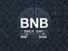 BNB��ƭ�������������Ͷ�ʷ���