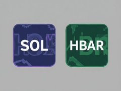 SOL��HBAR�ĸ���ֵ��Ͷ��