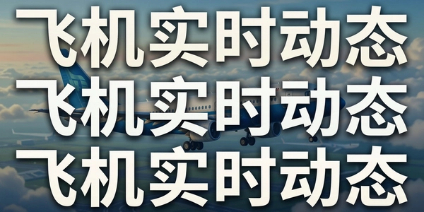 �ɻ�ʵʱ��̬