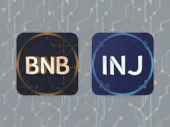 BNB��INJ�ĸ���ֵ��Ͷ��
